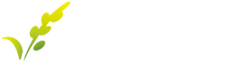 CRYSCORE OPTOELECTRONIC LIMITED